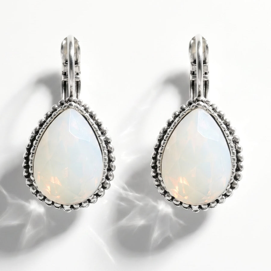 Swarovski Druppel Oorbellen 2,5 cm Zilver