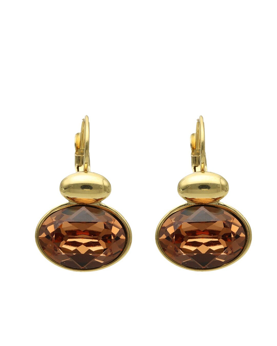 Swarovski Ovale Dormeuses Goud