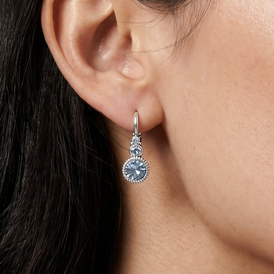 Swarovski Ronde Oorbellen Zilver