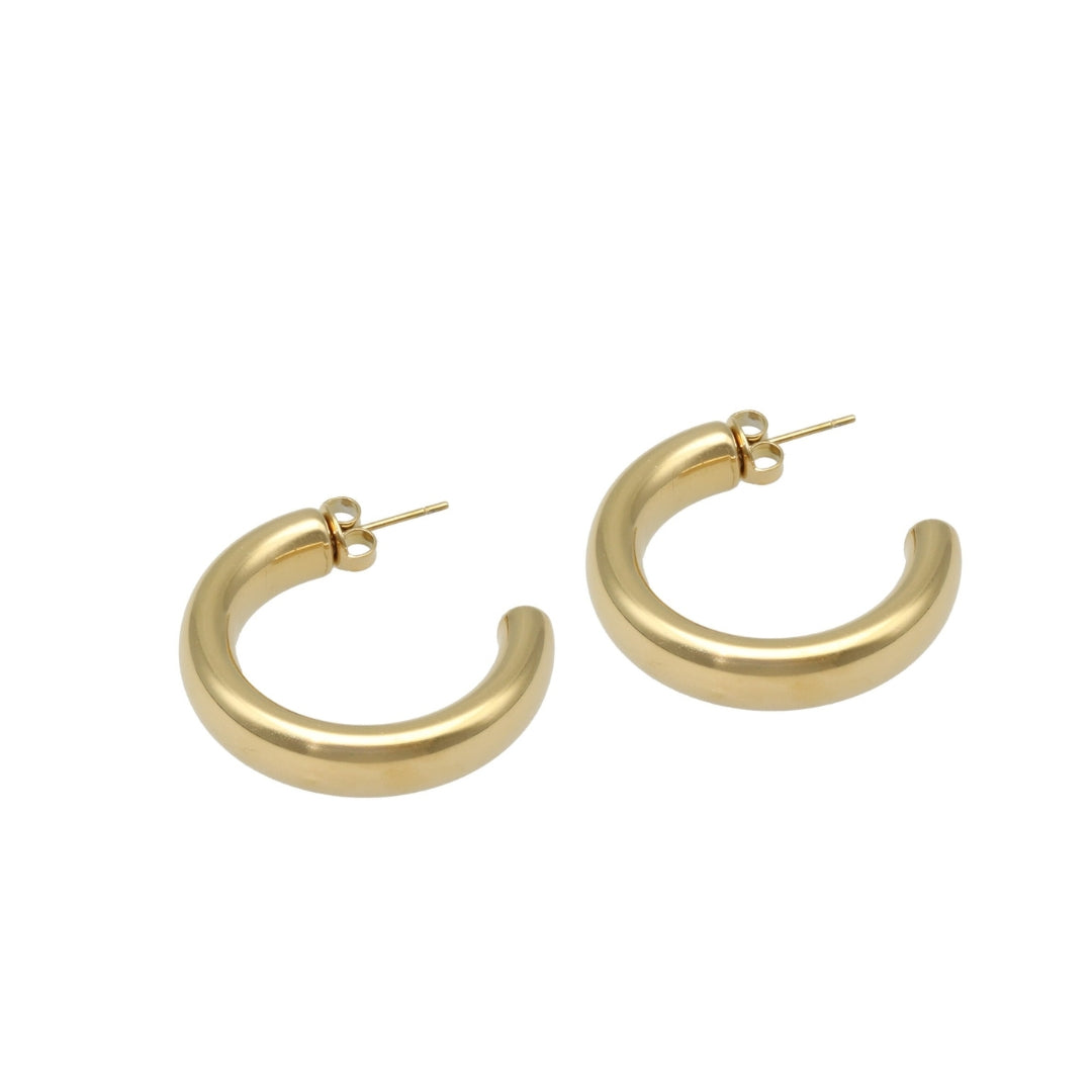 Basic Hoops Earrings