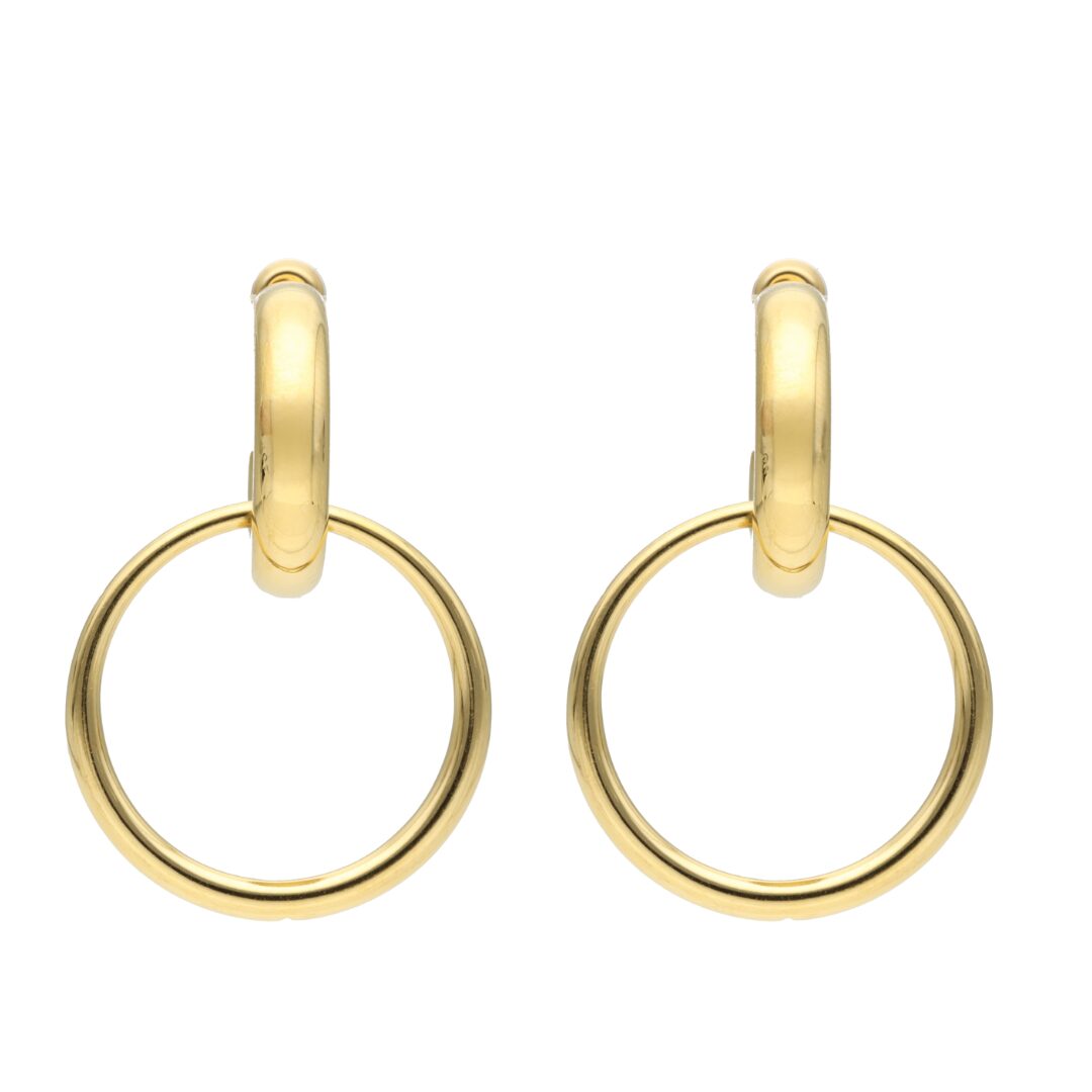 Shiny Hoop