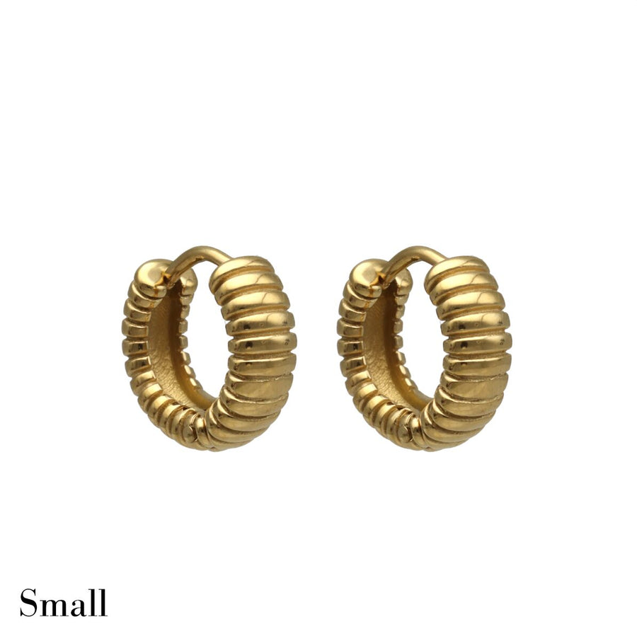 Small Lined Creole