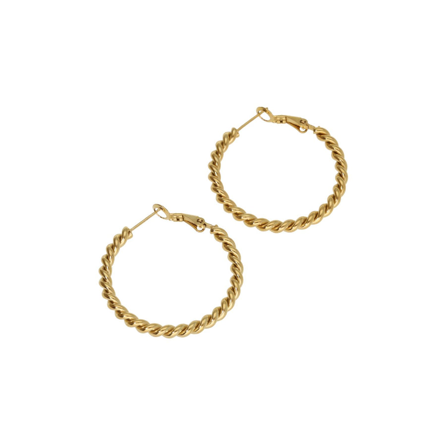 Little Twisted Earrings