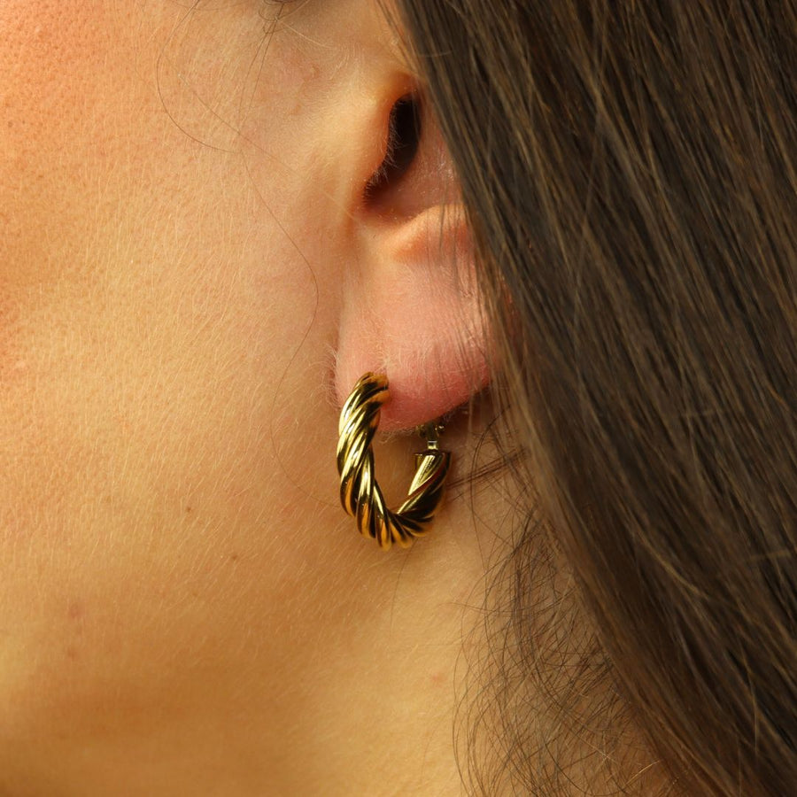 Little Twisted Earrings Goud