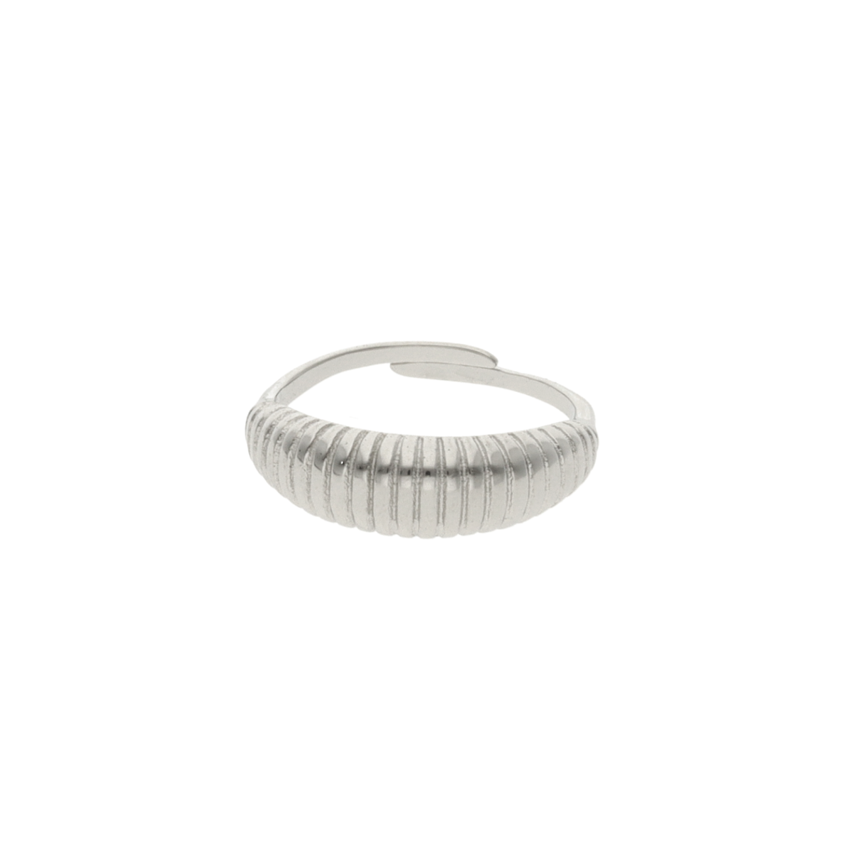 Striped Shell