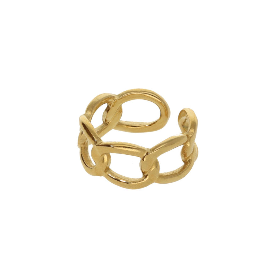 Chain Ring