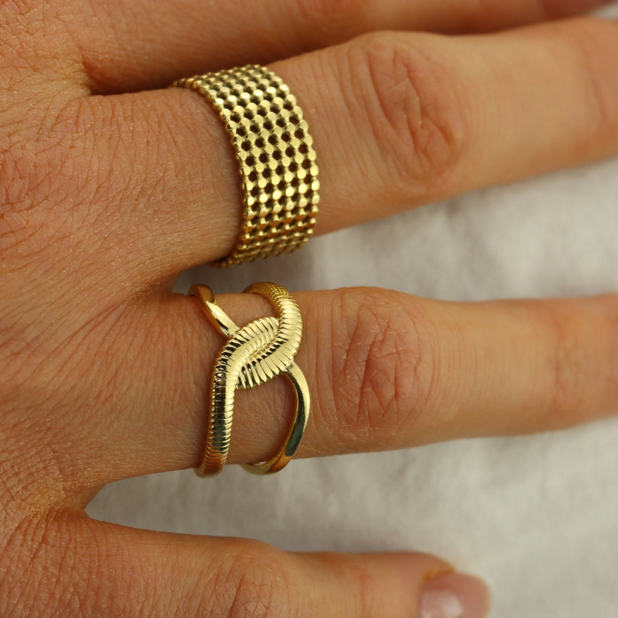 Double Snake Overlap Ring