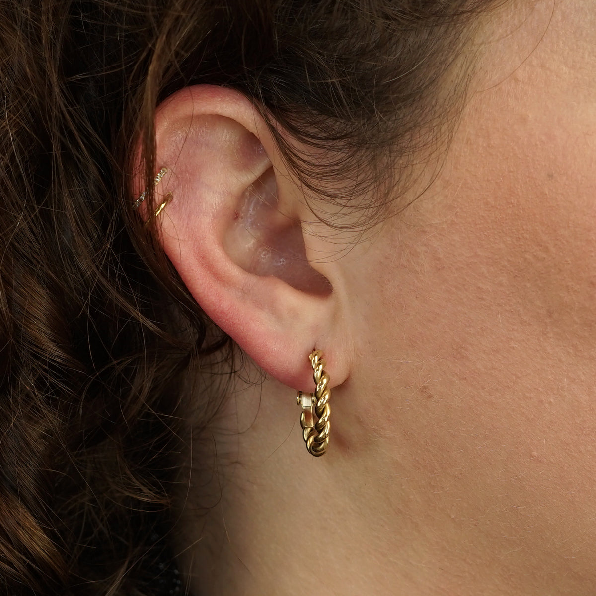 Twisted Earrings