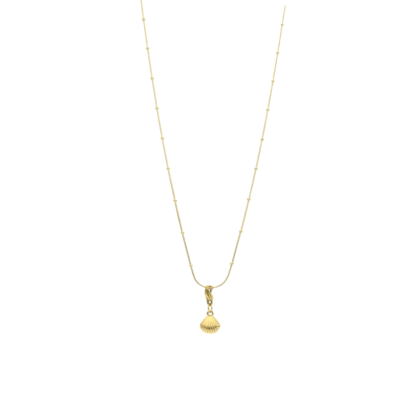 ketting